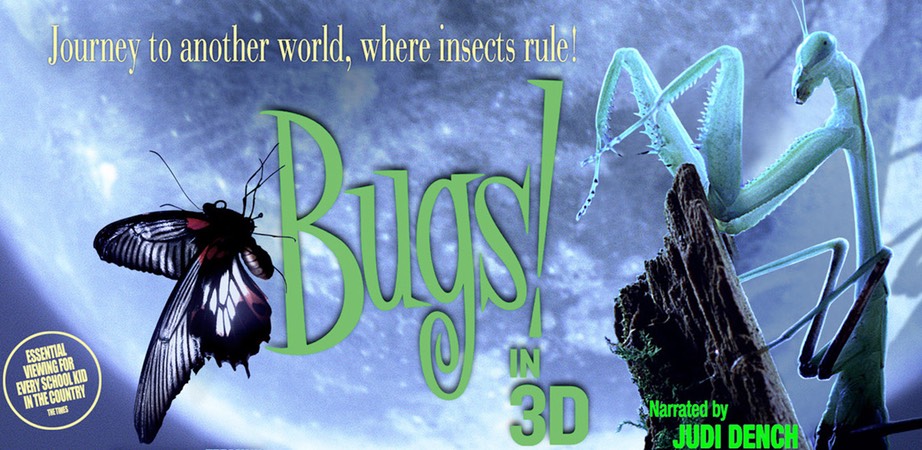 Bugs 3D